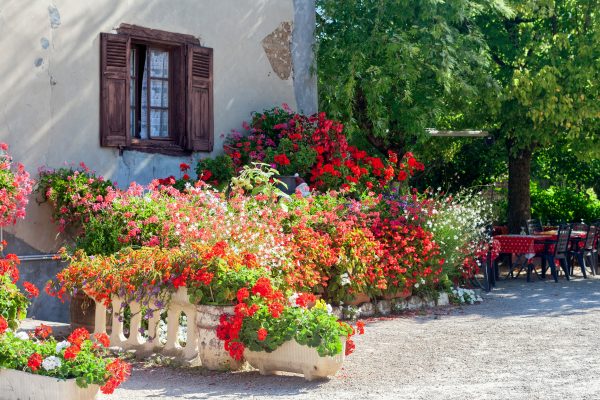 CHEZ MONIQUE - TAVERNE RUSTIQUE